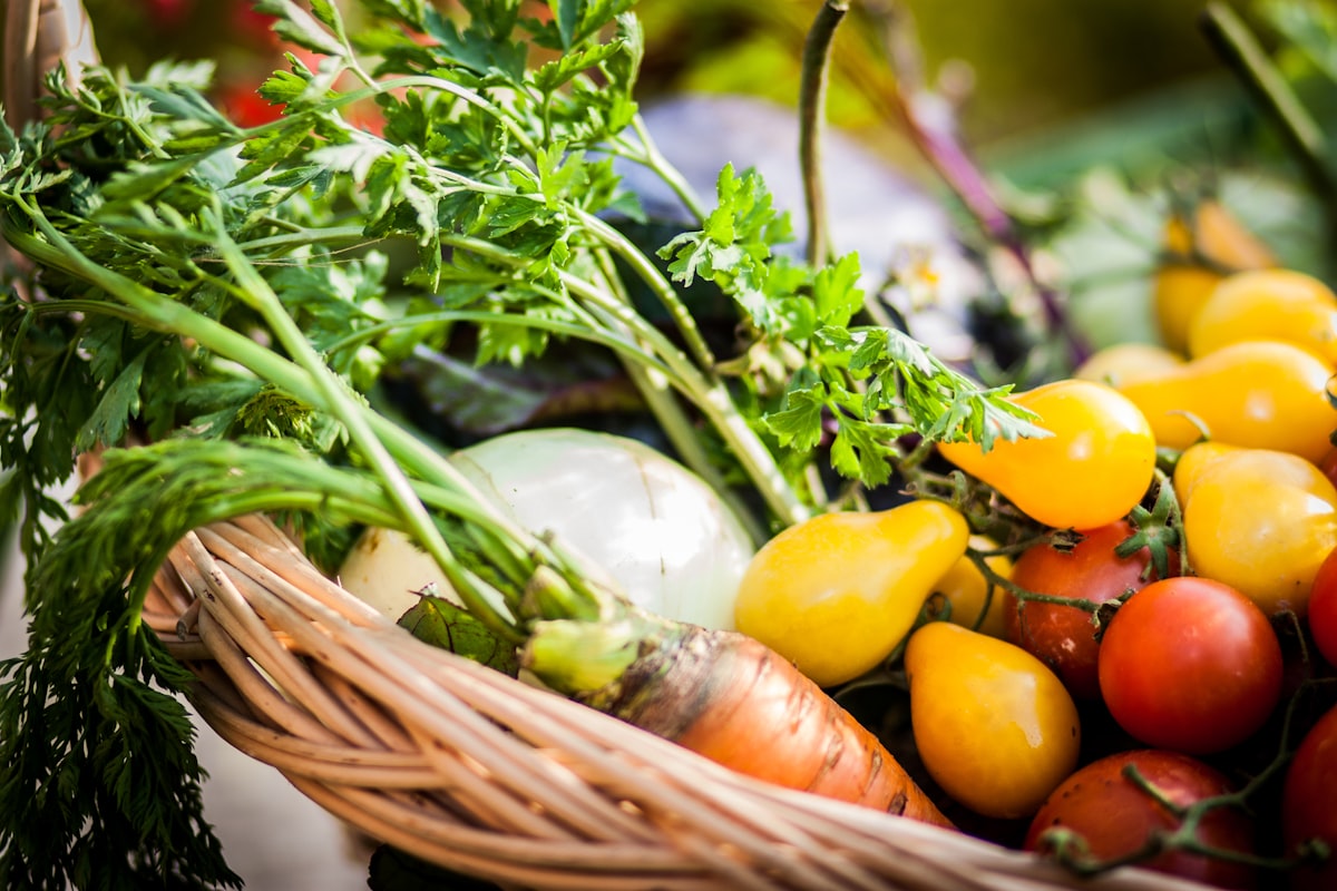 Farm-fresh organic vegetables